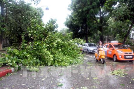 Tin mới nhất về cơn bão số 2