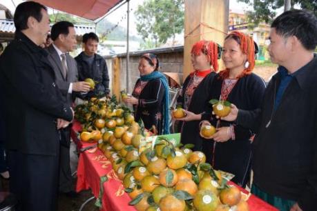 Khâu đột phá từ ứng dụng khoa học công nghệ trong sản xuất nông nghiệp