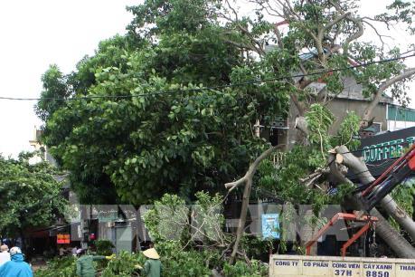 Bão số 3 suy yếu, áp thấp nhiệt đới có thể mạnh thêm thành bão