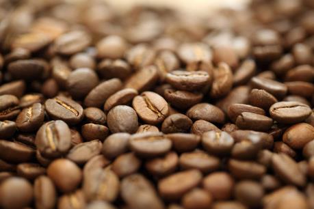 Dự báo giá cà phê tuần từ 17/7 - 22/7