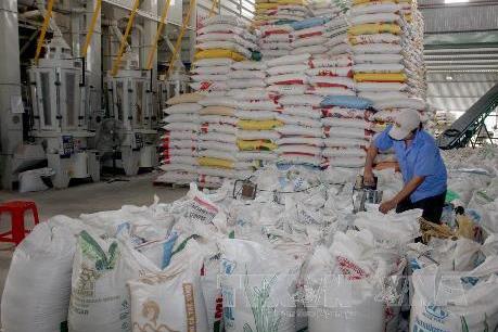 Xuất khẩu gạo Việt Nam sang Malaysia tăng đột biến