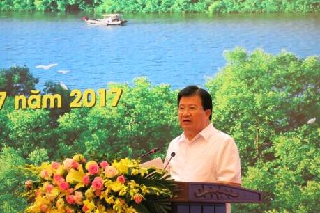 Phải làm gì để phát triển lâm nghiệp bền vững?