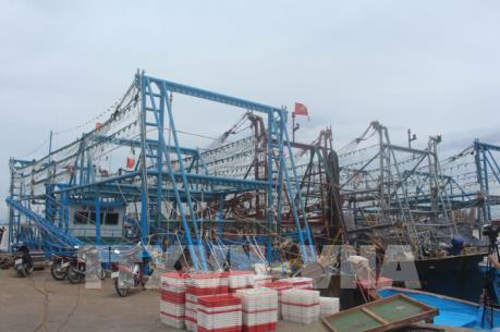 Thanh Hóa kiến nghị khoanh nợ cho chủ tàu cá đóng theo Nghị định 67 bị hư hỏng