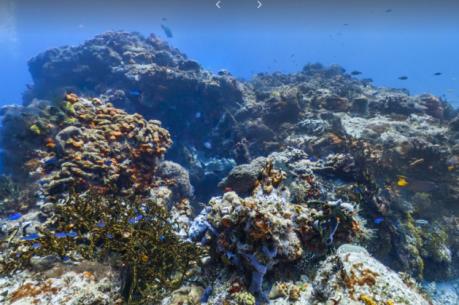 Phát hiện thế giới bí ẩn dưới đáy đại dương khi tìm kiếm máy bay MH370