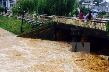 Phát sai bản tin dự báo thiên tai bị phạt tới 50 triệu đồng