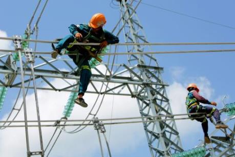 Điện lực Đà Nẵng áp dụng công nghệ vào quản lý điều hành, sản xuất kinh doanh