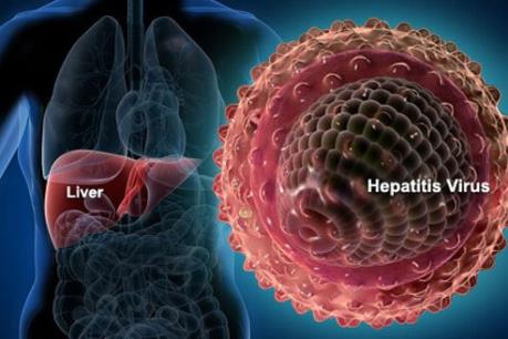 Việt Nam: Gánh nặng viêm gan vi-rút rất lớn