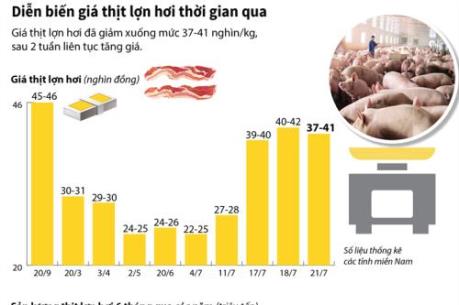 Diễn biến giá thịt lợn hơi thời gian qua