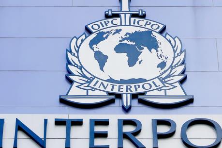Interpol truy bắt hàng trăm phần tử thánh chiến được huấn luyện tấn công châu Âu
