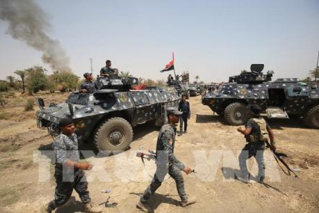 Iraq và Afghanistan tiêu diệt hàng chục phiến quân