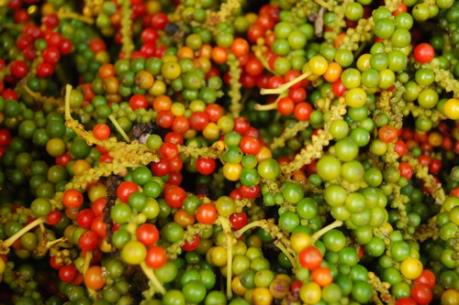 Phạt nặng chủ cơ sở "hô biến" hồ tiêu lép thành hồ tiêu chất lượng