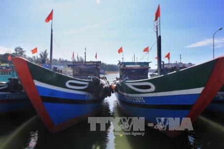 Thừa Thiên - Huế kêu gọi tàu thuyền neo đậu để tránh bão số 4