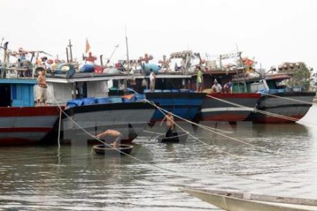 Nghệ An cấm biển trước diễn biến phức tạp của bão số 4