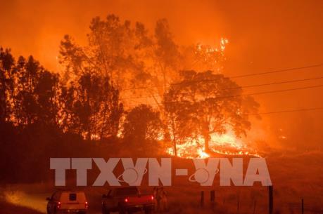 PG&E đề xuất bồi thường 13,5 tỉ USD cho nạn nhân vụ cháy rừng tại California
