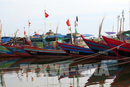 Quảng Bình chỉ đạo các đơn vị triển khai biện pháp phòng chống bão