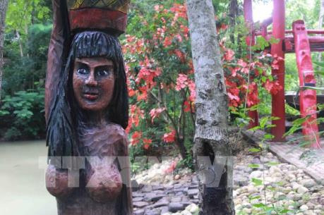 Độc đáo Khu bảo tồn lan rừng Troh Bư-Buôn Đôn