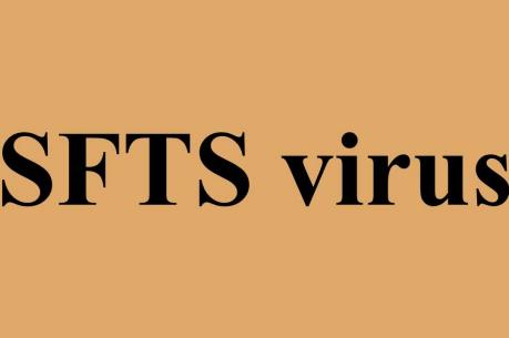 Lần đầu tiên trên thế giới lây nhiễm virus SFTS từ động vật sang người