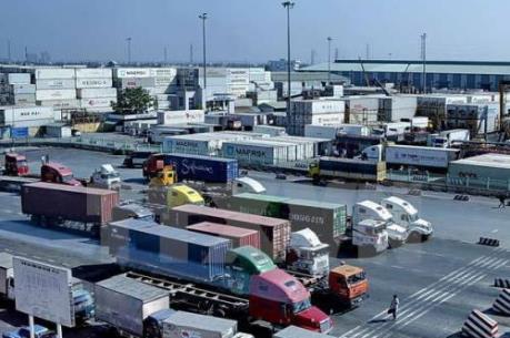 Doanh nghiệp "đau đầu" khi hàng trăm container hạt điều ách tắc vì vướng thủ tục