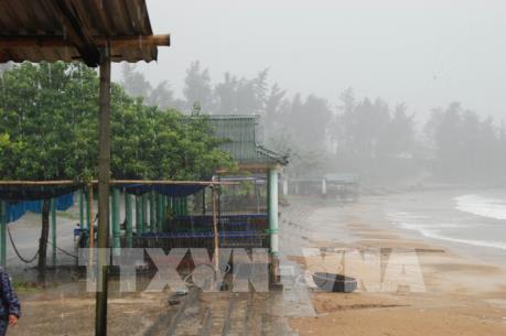 Tin mới nhất về cơn bão số 8 giật cấp 10 trên biển Đông