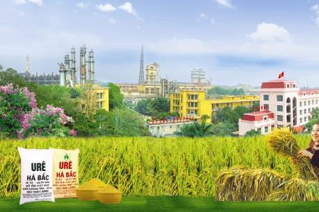 DHB chính thức giao dịch trên UPCom