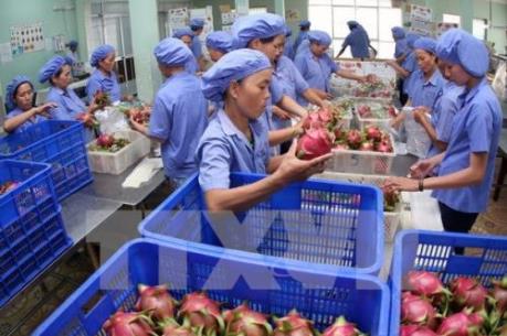 Bộ Công Thương đề nghị doanh nghiệp cẩn trọng hơn khi xuất khẩu sang thị trường UAE