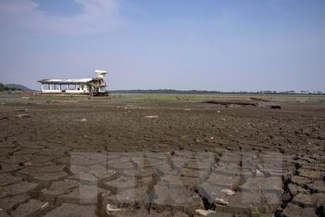 Việt Nam và Paraguay thúc đẩy quan hệ hợp tác