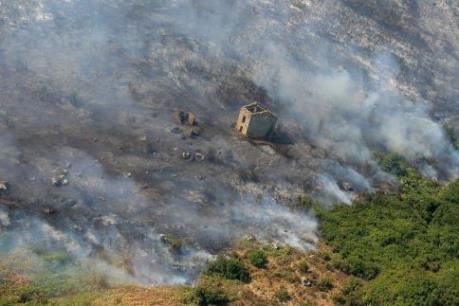 Pháp chưa kiểm soát được cháy rừng