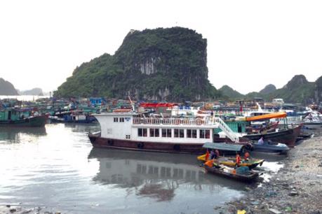 14 tàu du lịch lưu trú vỏ gỗ trên Vịnh Hạ Long bị đình chỉ hoạt động