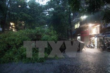 Tin mới nhất về áp thấp nhiệt đới trên khu vực Bắc Biển Đông 