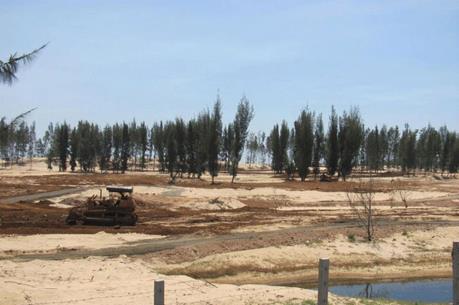 Nhiều sai phạm trong chuyển đổi mục đích sử dụng rừng ở Phú Yên