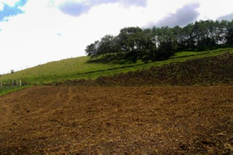 Phú Thọ xử lý chủ đầu tư chây ỳ, thu hồi đất 26 dự án chậm triển khai