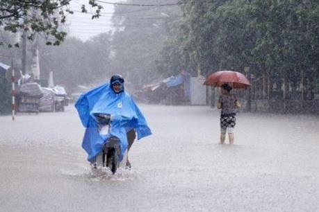 Dự báo thời tiết hôm nay 24/8: Bão số 6 suy yếu, Bắc Bộ mưa lớn diện rộng