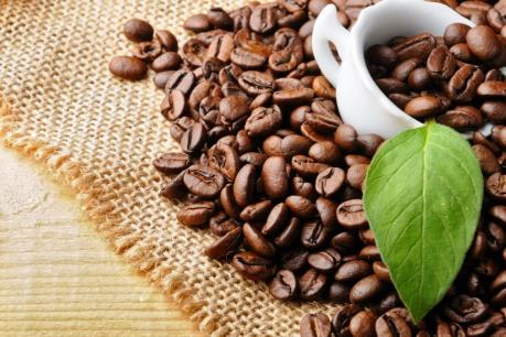 Dự báo giá cà phê tuần từ 31/7 - 5/8