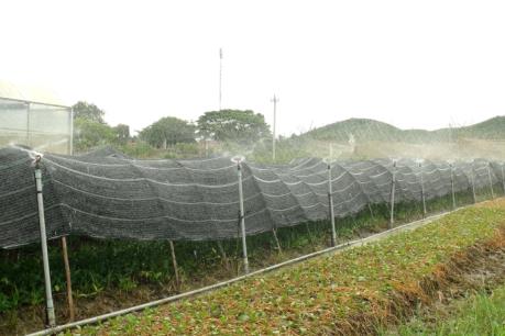 Long An sẽ thực hiện 4 vùng sản xuất nông nghiệp ứng dụng công nghệ cao