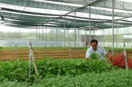 Bà Rịa-Vũng Tàu quy hoạch gần 5.100 ha phát triển nông nghiệp công nghệ cao