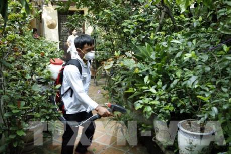 Giám sát chặt chẽ tình hình dịch bệnh sốt xuất huyết