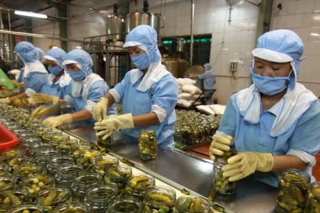 Xuất khẩu cả nước tăng gần 19%