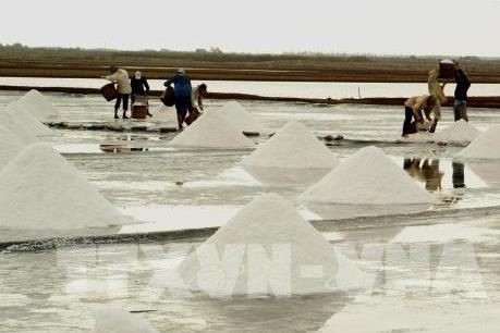 Giá muối tăng cao