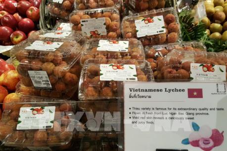  Vải thiều Bắc Giang đạt doanh thu cao nhất 60 năm qua