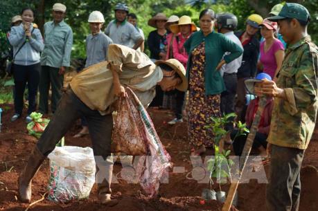 Nhiều hạn chế trong áp dụng công nghệ cao vào sản xuất cà phê ở Đắk Lắk 