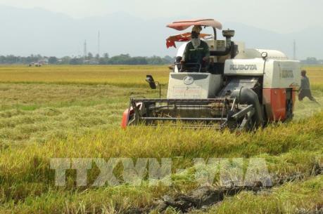 Thừa Thiên - Huế tập trung phát triển nông nghiệp công nghệ cao