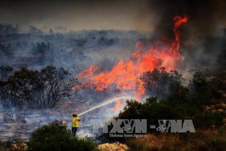 Hàng loạt vụ cháy rừng liên tiếp bùng phát ở một số nước Nam Âu