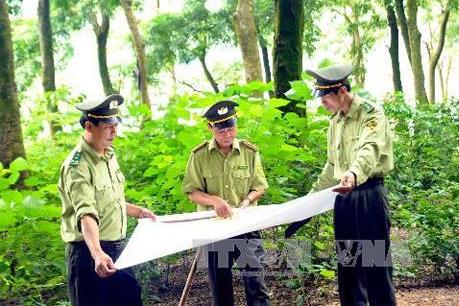 Tiết kiệm hơn 200 tỷ đồng kinh phí thực hiện điều tra, kiểm kê rừng toàn quốc