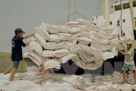 Trung Quốc tiếp tục đứng đầu về nhập khẩu gạo của Việt Nam