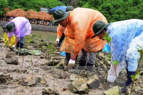 Thúc đẩy tiềm năng hợp tác giữa các nước khu vực Mê Công và Ấn Độ