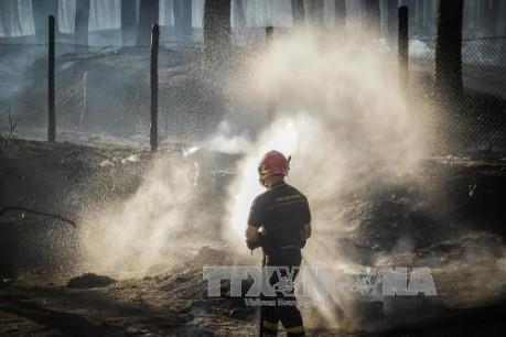Italy bắt 15 nhân viên cứu hỏa tình nguyện cố tình gây cháy để trục lợi