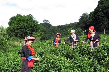 Bắc Kạn tháo gỡ khó khăn trong hoạt động tín dụng 