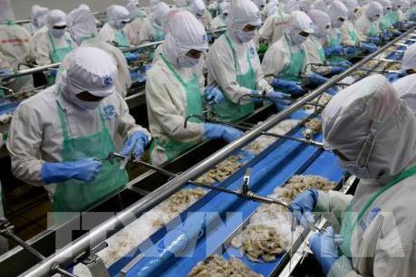 Kiểm soát an toàn thực phẩm, dịch bệnh đối với tôm xuất khẩu sang Australia