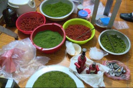 Hưng Yên triệt phá một cơ sở sản xuất trái phép chất ma túy