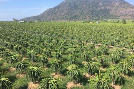 Giải pháp nào để ngành nông nghiệp tiếp cận cách mạng công nghiệp lần thứ tư?